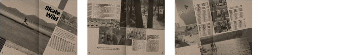 RRL IIII – Skate Wild